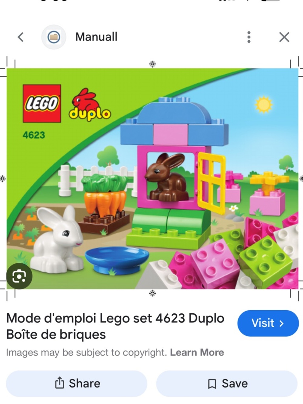 Lego Duplo Bunny Garden 4623